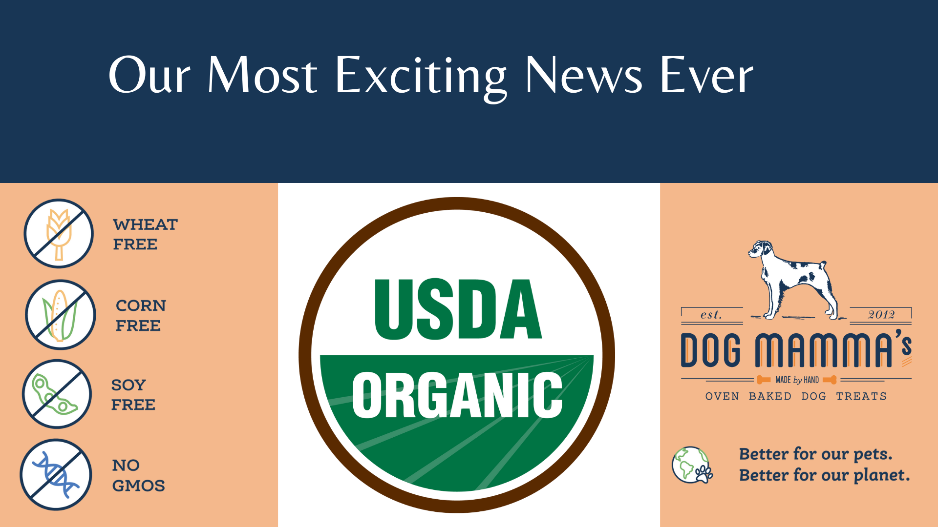 Usda organic shop dog food